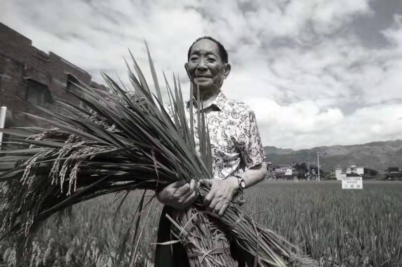 袁隆平 袁隆平